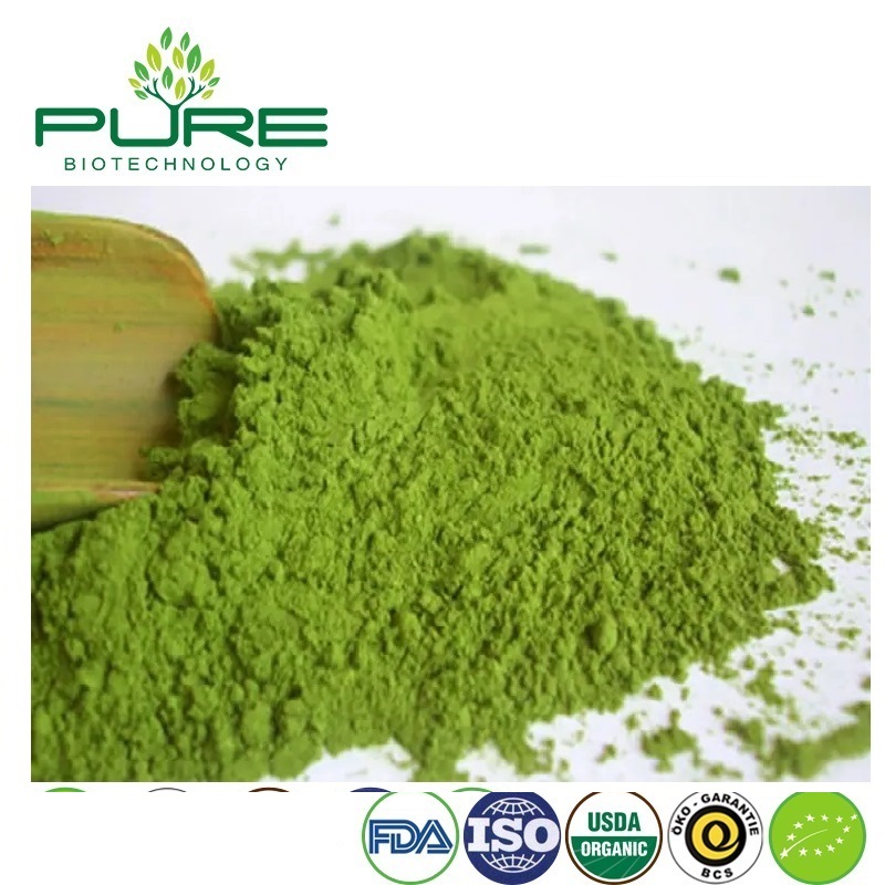 Premium Matcha Powder: Your Direct-Source Partner for Quality, Versatility, and Competitive Pricing