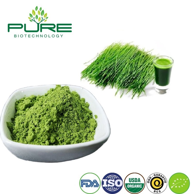 The Benefit of Chinese Organic Wheat Grass Powder