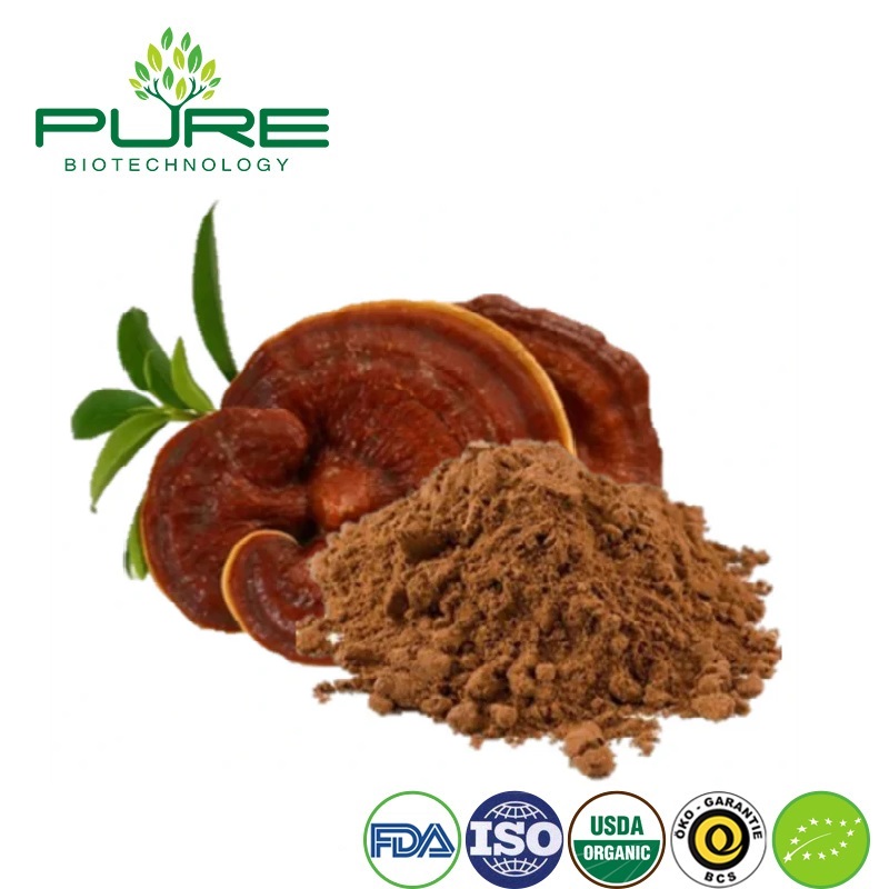 Introduction and Advantages of Chinese Reishi(Lingzhi)Mushroom Powder in International Trade