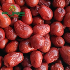 Red Jujube /Ruoqiang Date