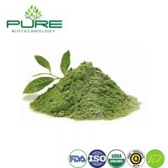 Polvo Matcha orgánico / Categoría alimenticia