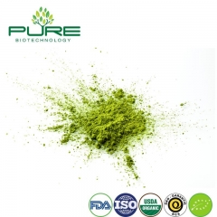 Matcha organique en poudre / qualité de boisson