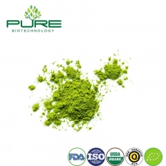 Organic Matcha Powder/Ceremonial Grade