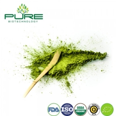 Matcha organique en poudre / qualité de boisson