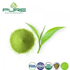 Matcha organique en poudre / qualité de boisson