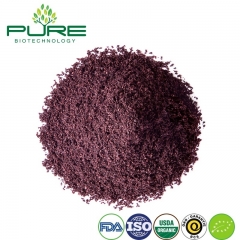 Порошок из Ягод Асаи