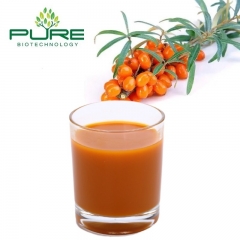 Organic Sea Buckthorn Juice Concentrate