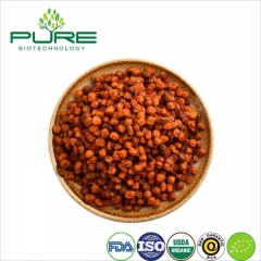 Organic Dried Sea Buckthorn Berries