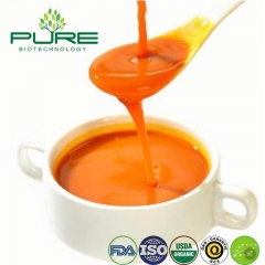 Pure Sea Buckthorn Juice / Puree