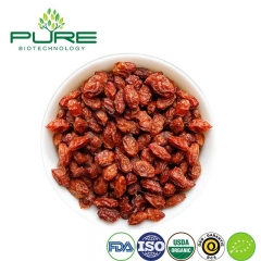 Wild Sea Buckthorn Berry / Nutritional Oil Benefits