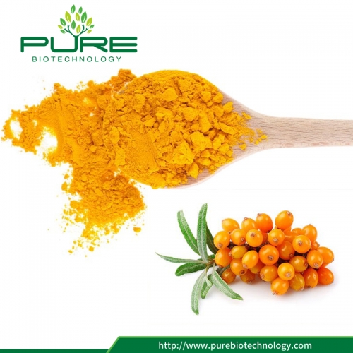 Sea Buckthorn Oil Powder | High Omega-7