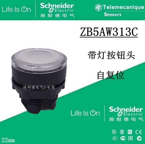 Schneider illuminated button head ZB5AW313C ZB5-AW313C