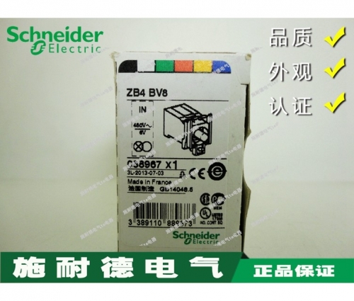 Original Schneider ZB4BV8 ZB4-BV8