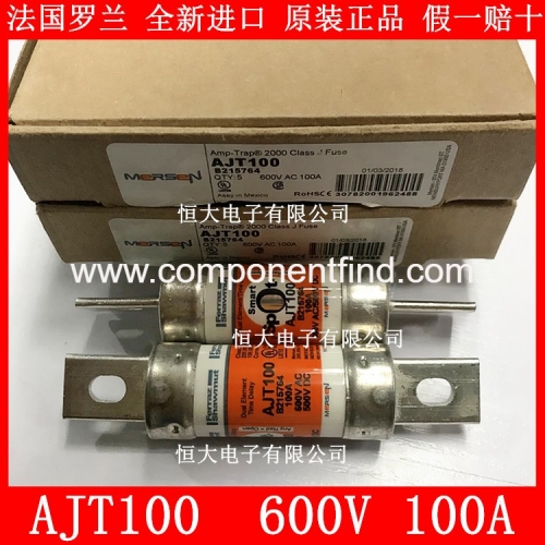 French FERRAZ - MERSEN AJT100 fuse core fuse delay fuse AJT 100A