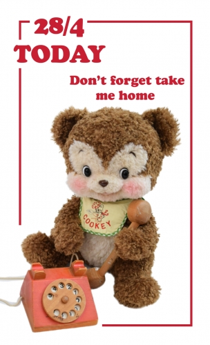 クッキー・ザ・ベア ぬいぐるみFairy Town