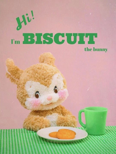The Biscuit Bunny