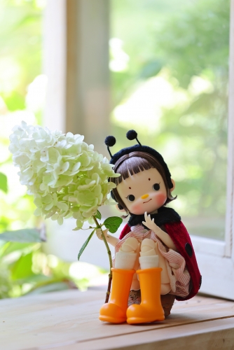 Ladydog ladybug doll