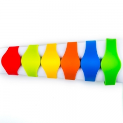 Silicone Wristband SW01