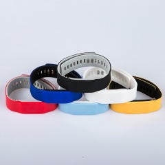 Silicone Wristband SW10