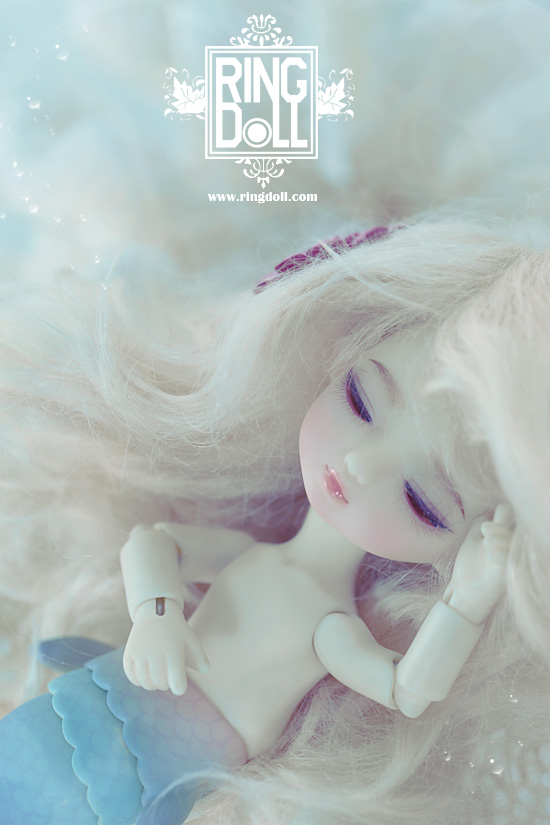 Shelly,Sold out dolls