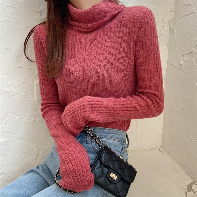 TWOTWINSTYLE Turtleneck Skinny Pullovers