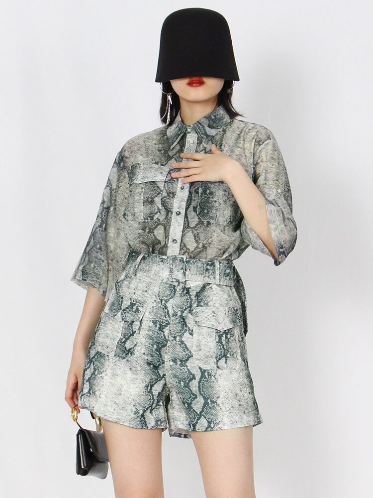 TWOTWINSTYLE Loose Print Two Piece Set Womens Lapel Short Sleeve Shirt High Waist Shorts Pants Colorblock Sets Female Summer New