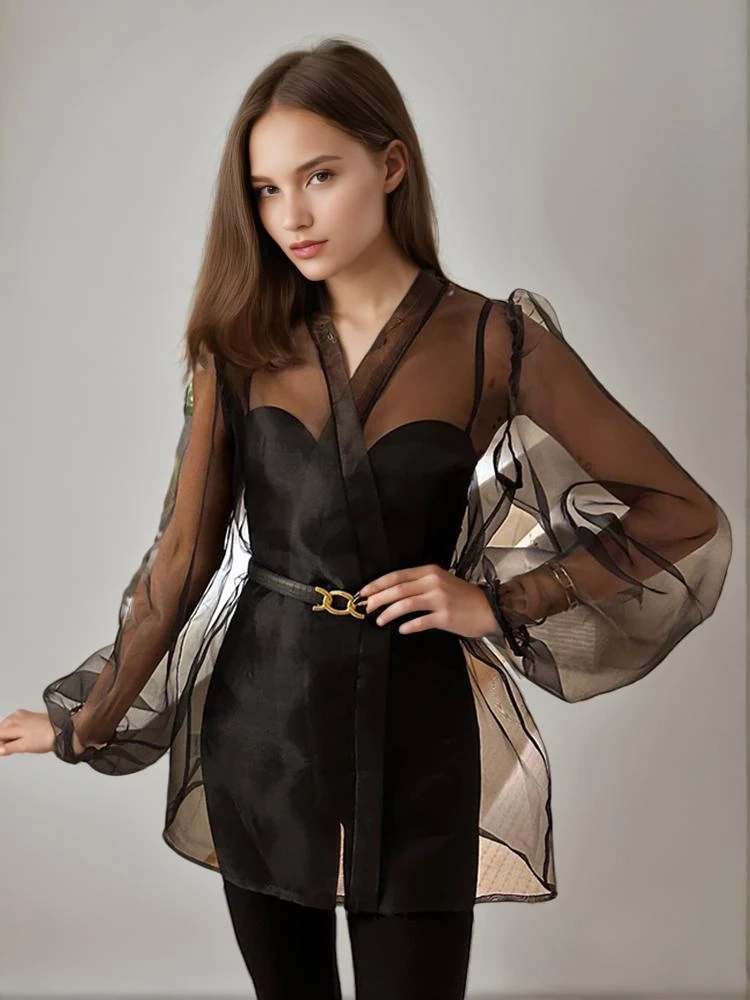 Sheer Mesh Bubble Sleeve Shirt