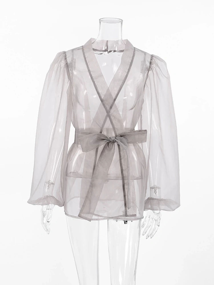 Sheer Mesh Bubble Sleeve Shirt