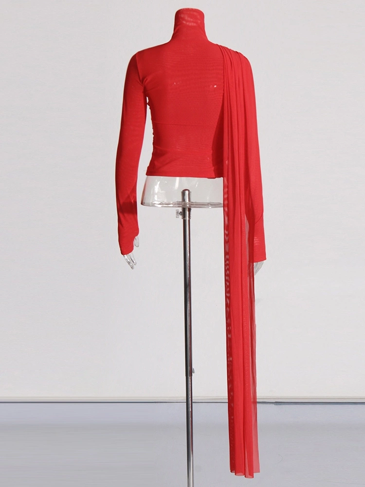 TWOTWINSTYLE Mesh Long Sleeve HIgh Neck T-shirt