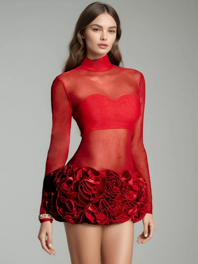 TWOTWINSTYLE Mesh Flower Perspective High Neck Long Sleeve Dress