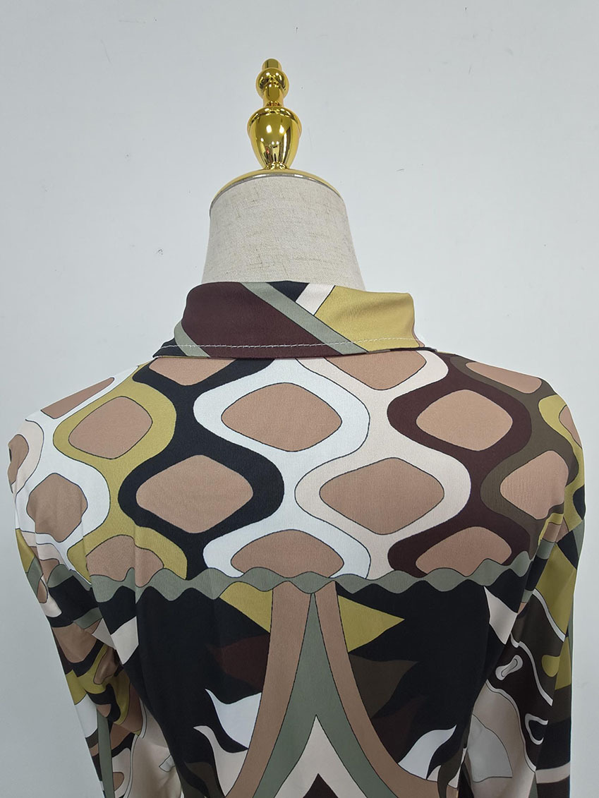 TWOTWINSTYLE Print Lapel Long Sleeve Chic Long Dress