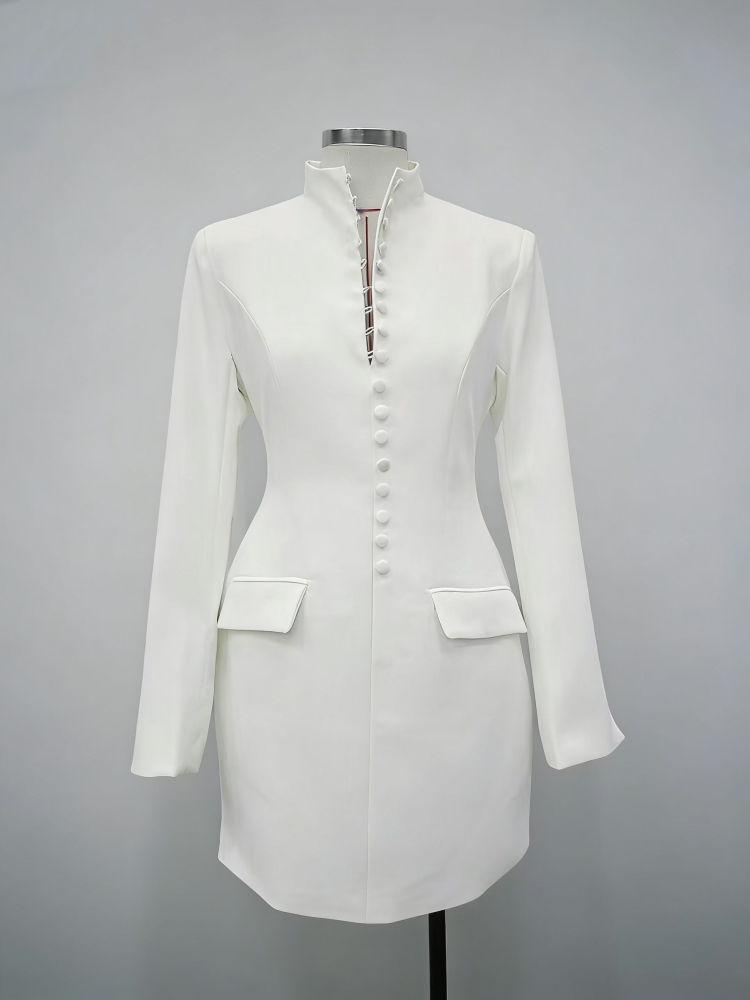 TWOTWINSTYLE Stand Collar Tunic Elegant Mini Dress