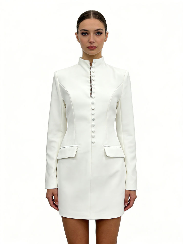 TWOTWINSTYLE Stand Collar Tunic Elegant Mini Dress