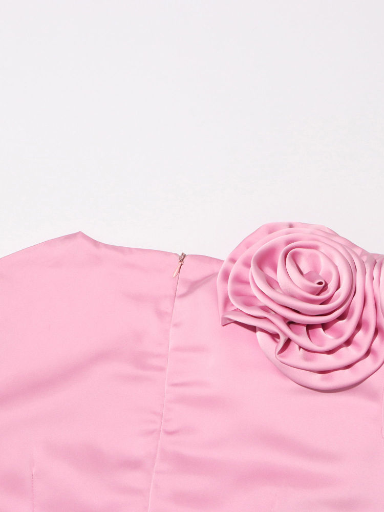 TWOTWINSTYLE Solid Round Neck Slimming Elegant Dress