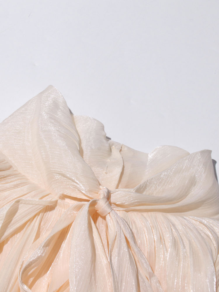 TWOTWINSTYLE Bat Sleeve Pleated Maxi Dress