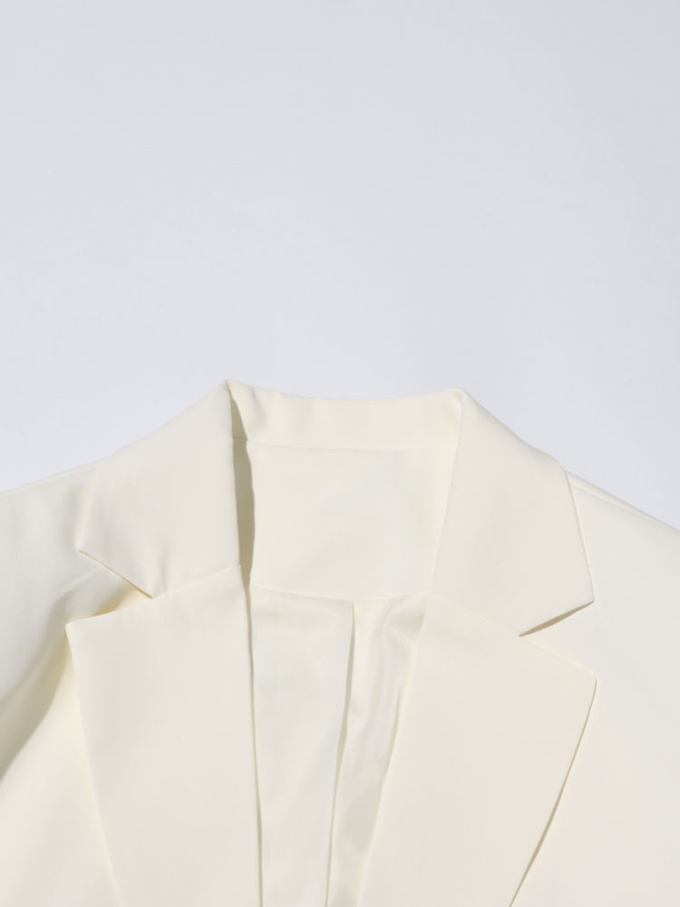 TWOTWINSTYLE Loose Long Sleeve Side Split Chic Coat