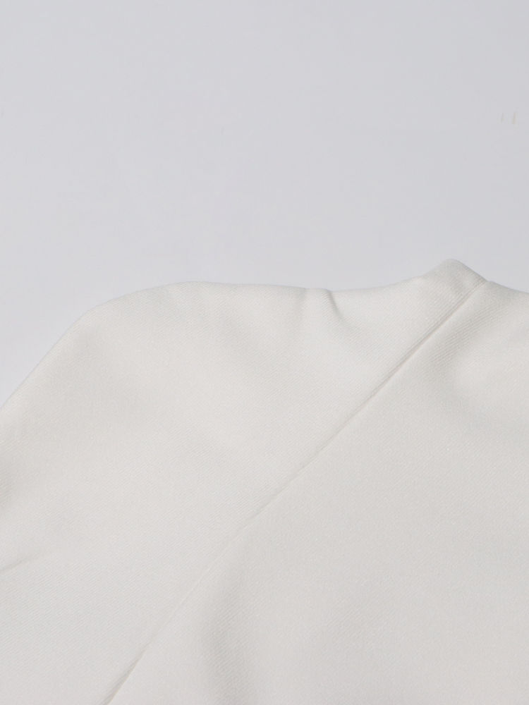 TWOTWINSTYLE Stand Collar Hit Color Irregular Hem Chic Dress