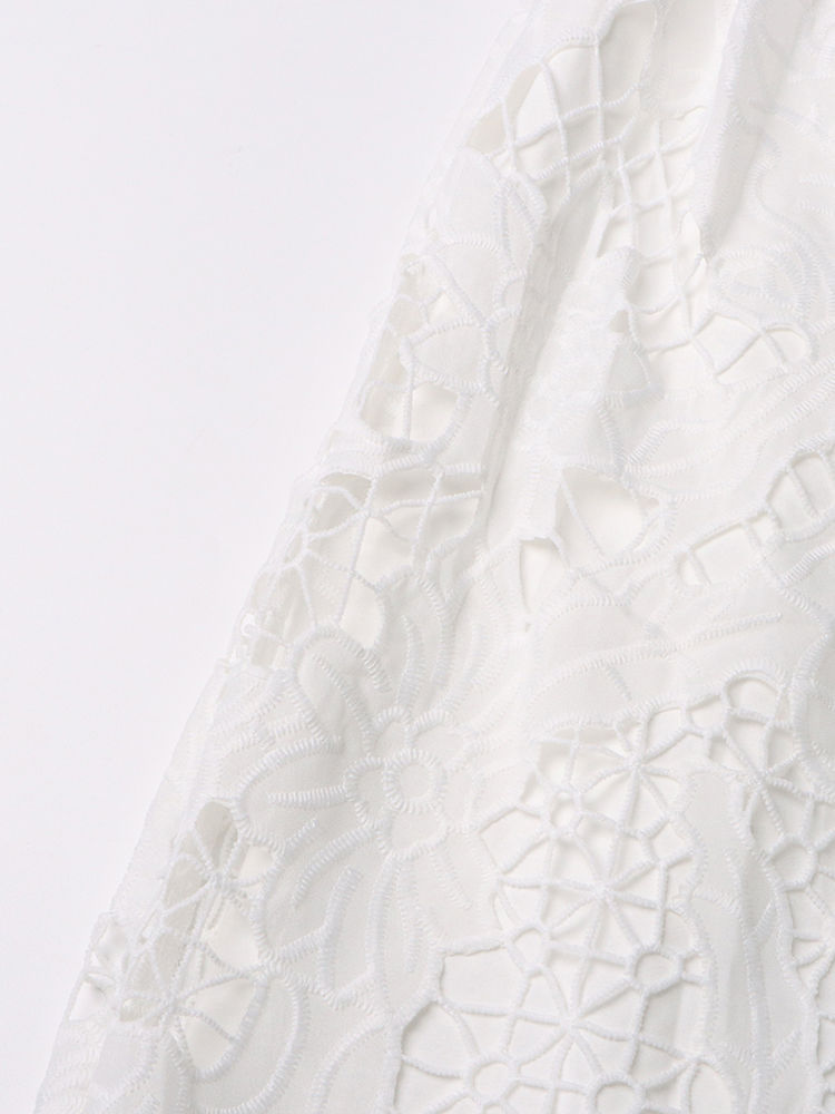 TWOTWINSTYLE Lapel Hollow Out  High Waist Elegant Dress