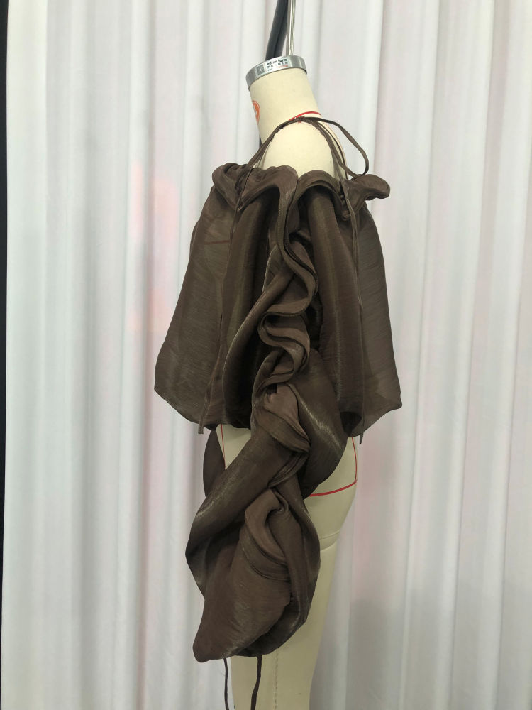 TWOTWINSTYLE Off Shoulder Long Sleeve Pleated Vintage Crop Top