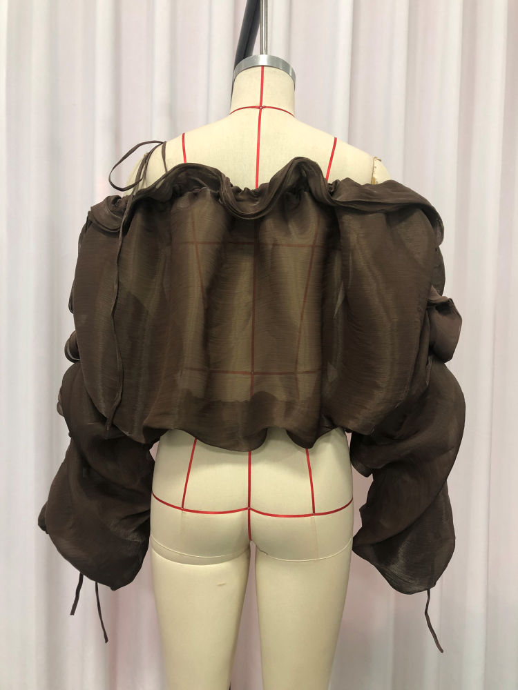 TWOTWINSTYLE Off Shoulder Long Sleeve Pleated Vintage Crop Top