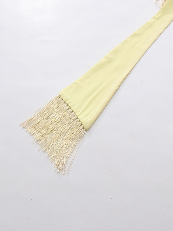 TWOTWINSTYLE Long Sleeve Spliced Tassel Irregular Vintage Dress