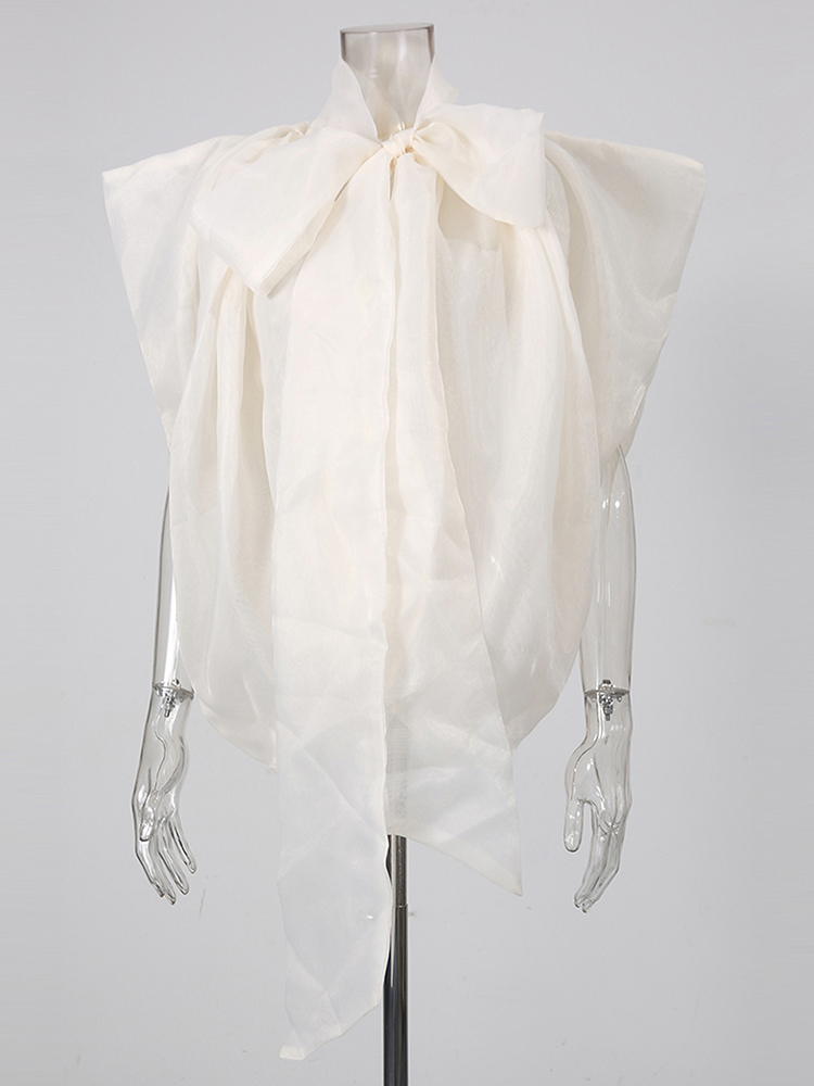 TWOTWINSTYLE Stand Collar Bowknot Mesh Loose Minimalist Blouse