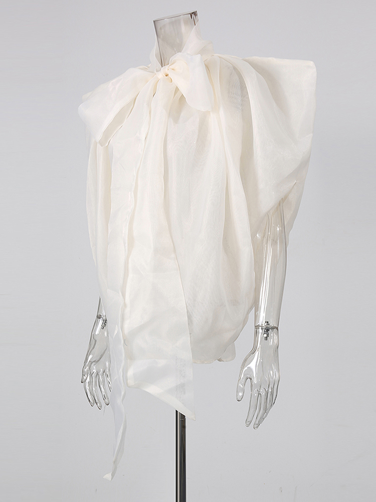 TWOTWINSTYLE Stand Collar Bowknot Mesh Loose Minimalist Blouse