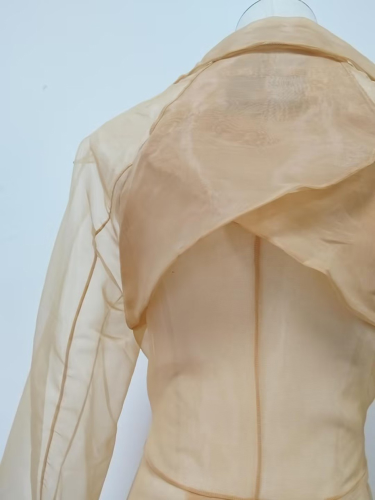 TWOTWINSTYLE Solid Elegant Lapel Long Sleeves Tunic  Mesh Jacket