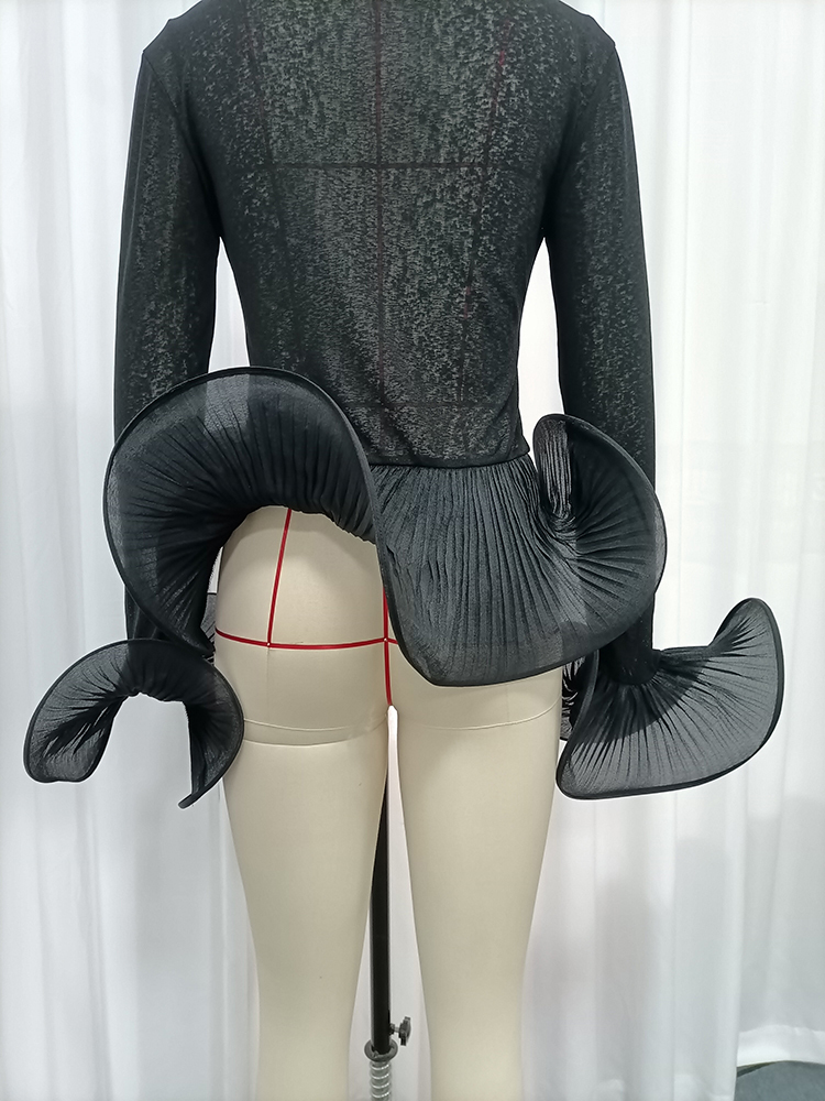 TWOTWINSTYLE Sheer Mesh 3D Pleated Flare Cuffs Long Sleeve Chic Top