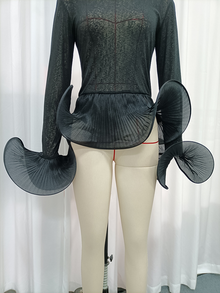 TWOTWINSTYLE Sheer Mesh 3D Pleated Flare Cuffs Long Sleeve Chic Top