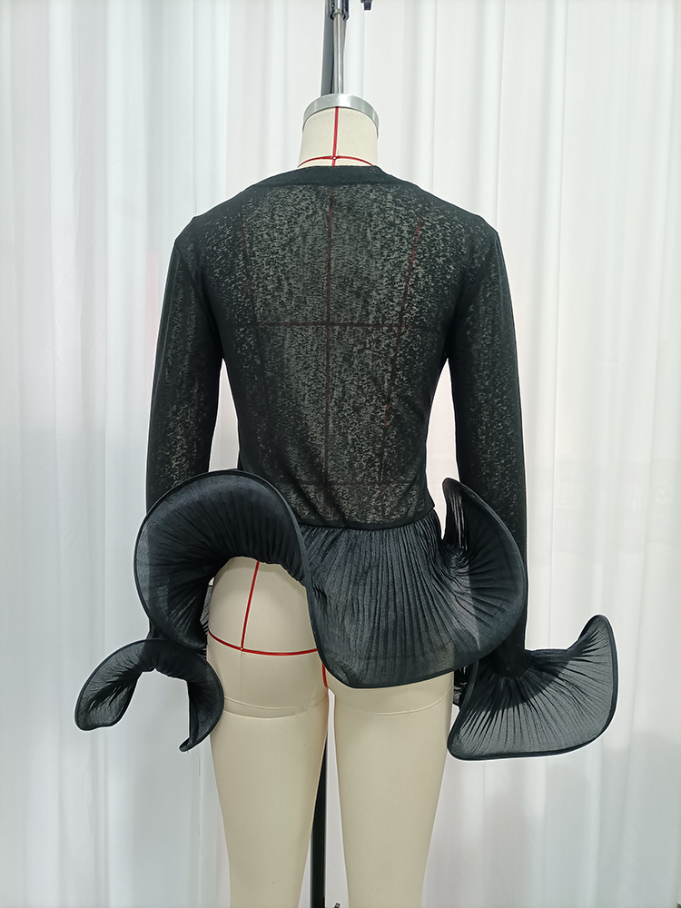 TWOTWINSTYLE Sheer Mesh 3D Pleated Flare Cuffs Long Sleeve Chic Top