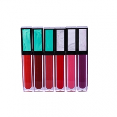 Customize waterproof metallic makeup lip gloss private label matte