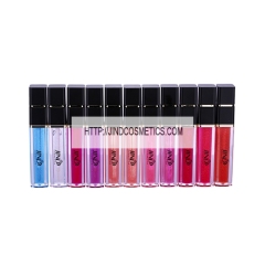 New Arrival Long Wearing Lipgloss Moisturizing Lip Gloss