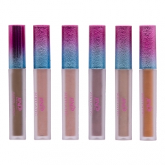 Wholesaler manufacturer makeup lipgloss